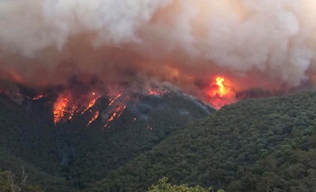 Вече трети ден горски служители участват активно в гасенето на