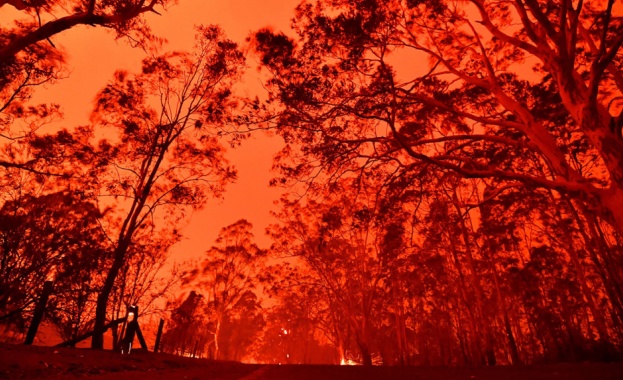 Пожари избухнаха в Красноярския край на Русия в събота изведнъж