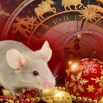 Годината на Металния Плъх ще бъде година на ново начало 