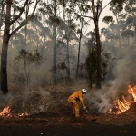 Комедиантка събра $40 млн. дарения за Австралия във Facebook