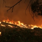 Горски пожари изпепелиха домове и оставиха десетки хиляди без ток в Австралия