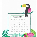 Предстоящи събития в страната за 11 януари