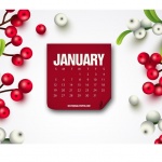 Предстоящи събития в страната на 20 януари 