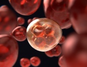 Надежда за нова терапия срещу рака