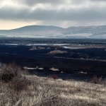 Пожарът в Драгоманското блато унищожи 80% от растителността 