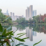 Защо заразата тръгна от Ухан - градът на небостъргачите и светулките ?