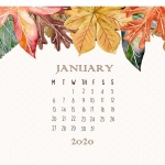 Предстоящи събития в страната за 29 януари