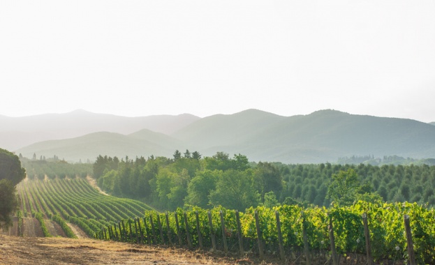 От чешмите на малко градче в Северна Италия потече вино
