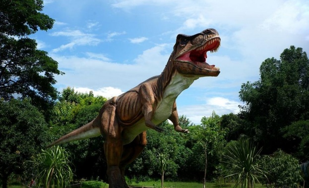Останки на две бебета динозаври са открити във вкаменелост на