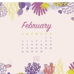 Предстоящи събития в страната за 4 февруари