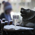 „Франкфуртер рундшау“: Водката помага срещу коронавирус