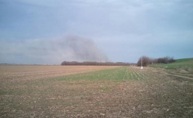  Пожарът край Тутракан не е достигнал защитената местност Калимок-Бръшлен 
