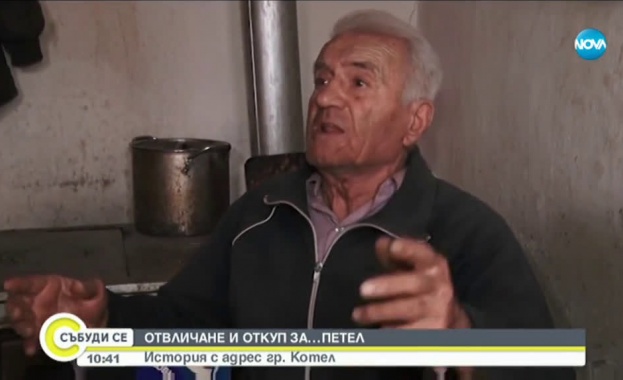 Неизвестни отвлякоха петел и поискаха откуп, за да го върнат