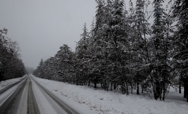 Сняг вали в областите Стара Загора със силен вятър Силен