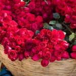 Родени на 5 август