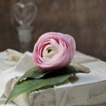 Любовта е всичко, което имаме...