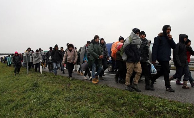 Над 200 мигранти са задържани на българо-гръцката граница през 2019 г.