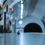 Две мишки се бият в метрото: Снимка-победител на годината