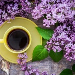 Преглед на печата за 21 март