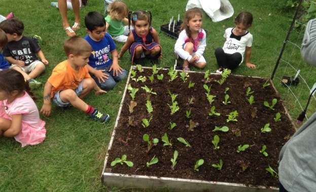 Вкарват зеленчукова и билкова градина в детските градини и у