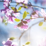 Предстоящи събития в страната за 17 април