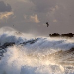 Любопитни факти,които ще ви изумят