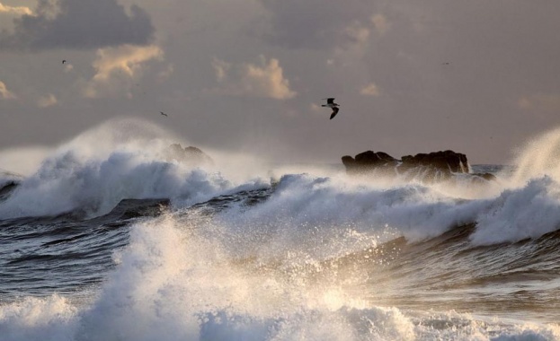 Пред 1 млрд години ключови химични реакции в океаните намалили