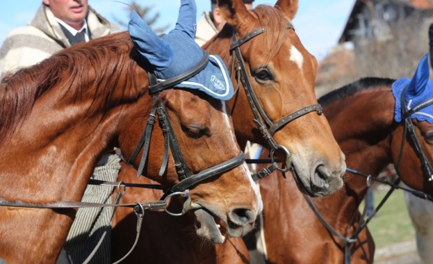 Честито на всички именици Православната църква почита днес църковния празник Тодоровден