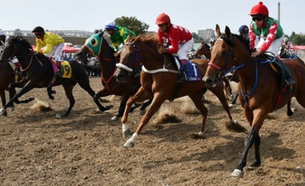 Кон е блъснал дете на кушиите в пернишкото село Дивотино