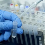 Къде отиде сезонният грип и защо Ковид 19 не е обикновен грип?