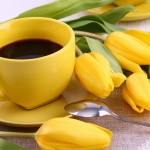 10 еликсира с кафе: Много енергия - малко калории 