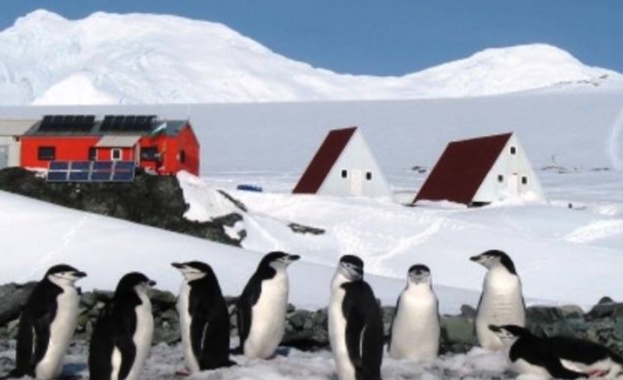 Днес и утре се завръщат последните участници в нея Днес