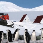 Успешно завърши 28-та Национална антарктическа експедиция.