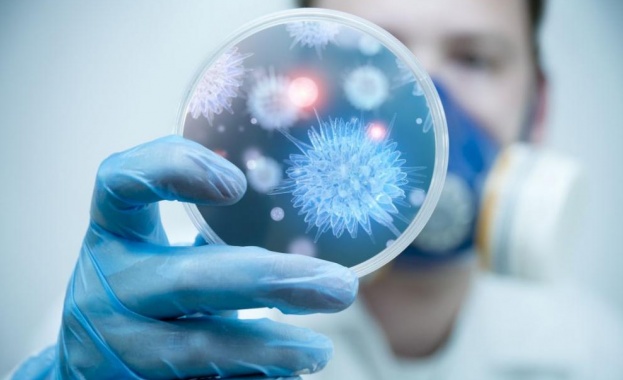 Телевизия CNN публикува съвети на Ник Патъс Уолш редактор