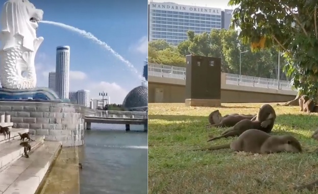 Заради мерките взети срещу коронавируса в централните части на Сингапур
