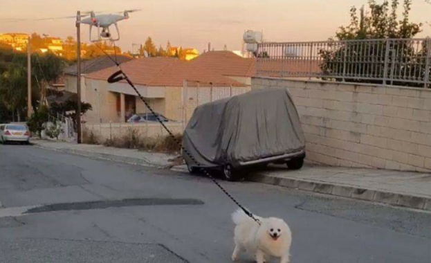Кипърец разходи кучето си с дрон заради карантината (Видео)