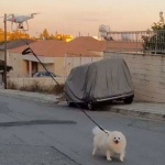 Кипърец разходи кучето си с дрон заради карантината (Видео)