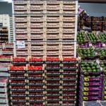 Председателят на браншовата камара „Плодове и зеленчуци": Липсва държавна стратегия за развитие на сектора