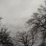 Облачно и ветровито утре