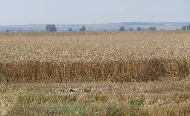 Пандемията от коронавирус вече накара някои държави да ограничат износа