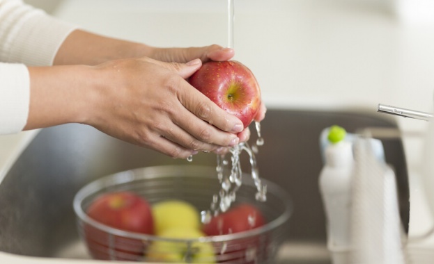 Данни новият коронавирус да се предава чрез храна засега няма