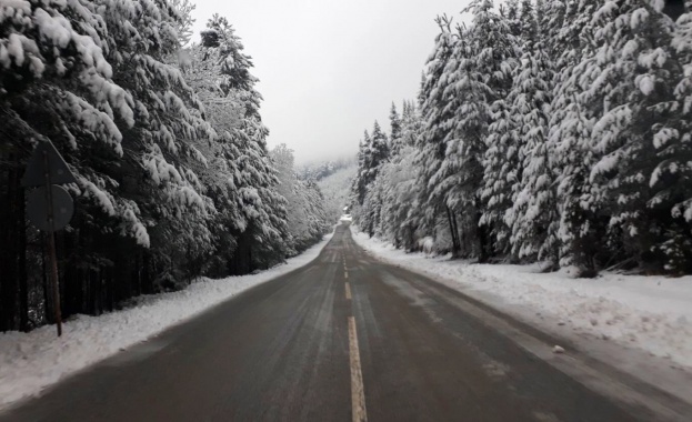 При снеговалеж и намалена видимост намалете скоростта и увеличете дистанцията.