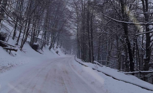 Поради обилен снеговалеж в природен парк Витоша автобусите по линия