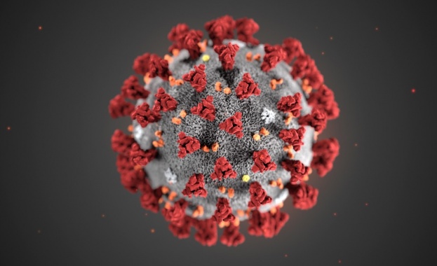 Новият коронавирус е най-активен при температури около 4 градуса по