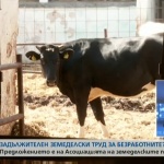 Задължителен земеделски труд за безработните?