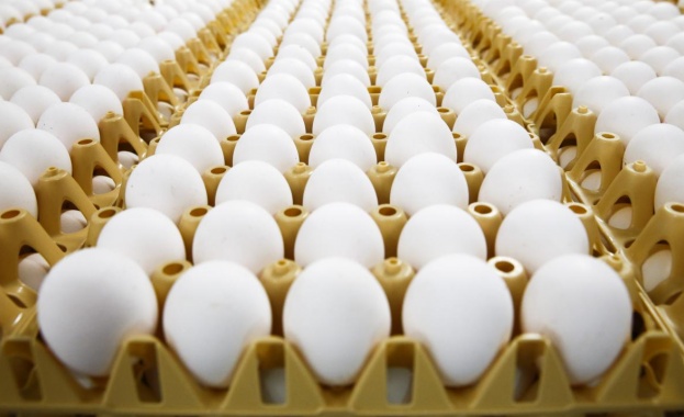 БАБХ започва засилени проверки на производството и търговията с яйца 