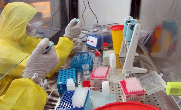  СЗО препоръча ограничителните мерки за коронавируса да се отменят постепенно
