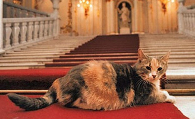 Знаменитите котки, обитаващи Ермитажа в Санкт Петербург, вече се превърнаха