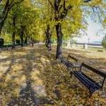 Започва театралният фестивал на моноспектаклите "София моно" 