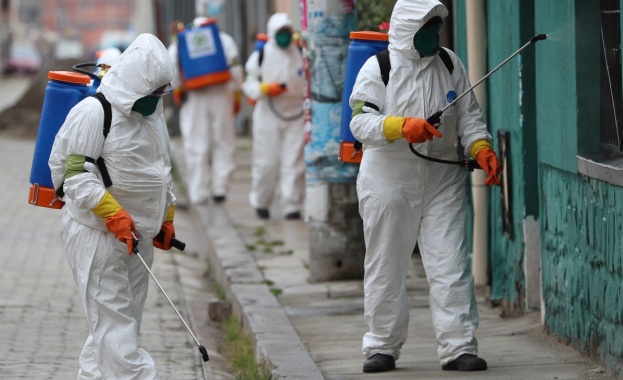 Европейският офис на Световната здравна организация заяви че въпреки виждането